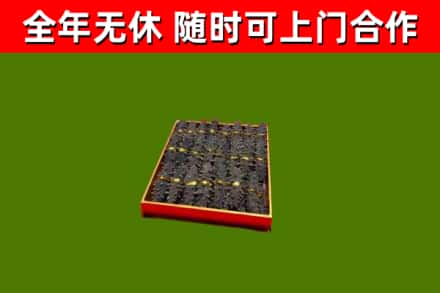 林西县回收海参